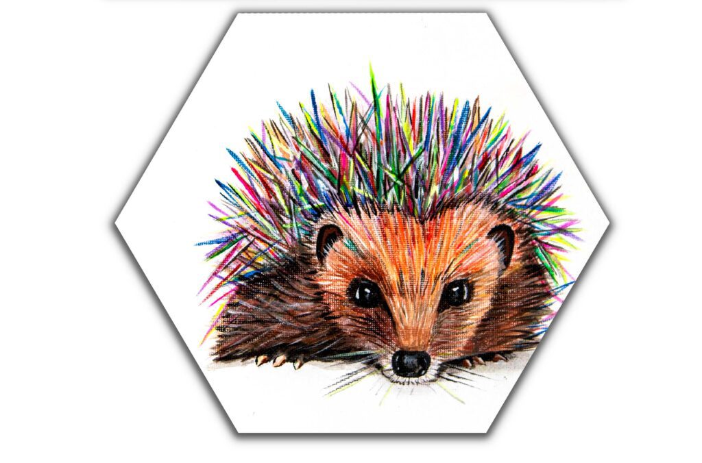 "Kerplunk" Hexagonal Print
